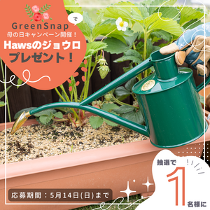 ガーデニング,植物のある暮らし,肥料,プランター栽培,ベランダ菜園の画像